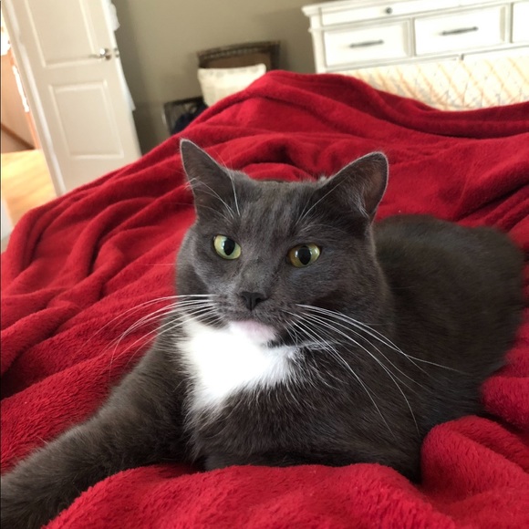 Fiona, My Posh Helper - Picture 4 of 10